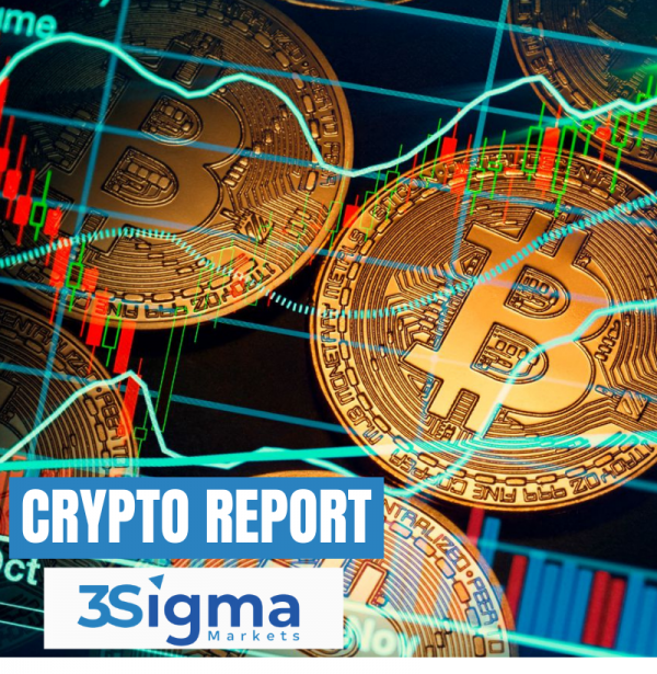 crypto reports